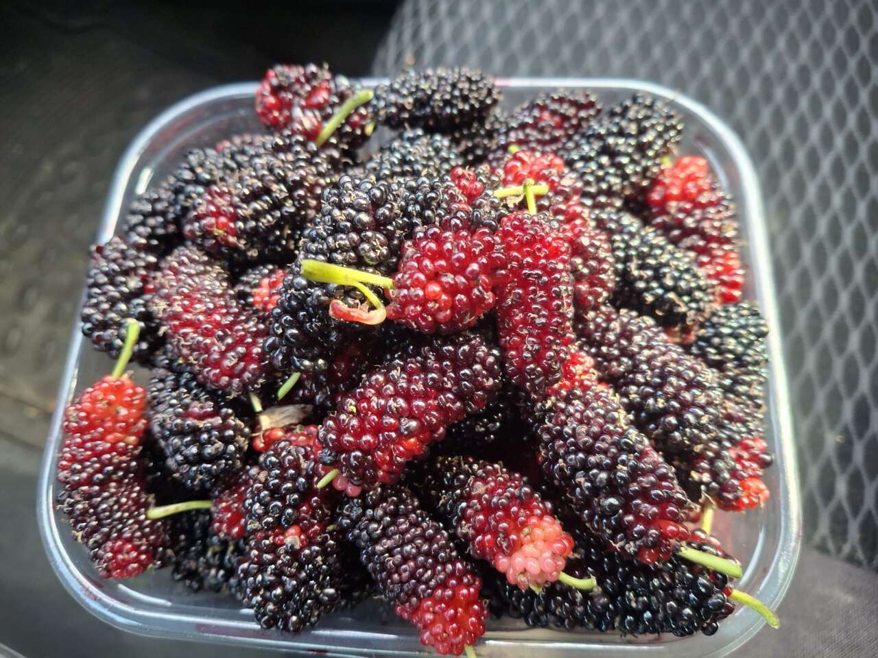 Hasat başladı, çoğunu Arap ülkeleri yiyecek 7